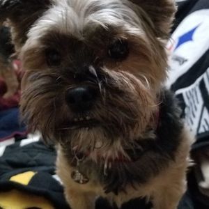 Meet your Posher, Mindy